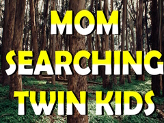 খেলা Mom Searching Twin Kids