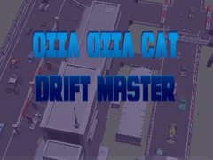 খেলা Oiia Oiia Cat Drift Master