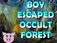 খেলা Boy Escaped Occult Forest