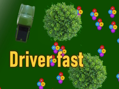 খেলা Driver fast