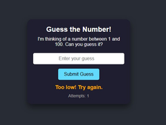 খেলা Number Guessing
