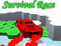 খেলা Survival Race