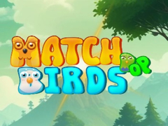 খেলা Match Pop Birds