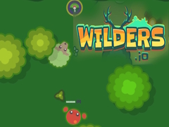 খেলা Wilders.io