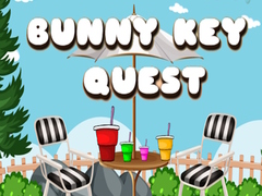 খেলা Bunny Key Quest