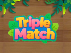 খেলা Triple Matched