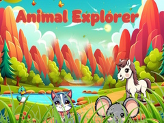 খেলা Animal Explorer 