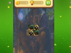 খেলা Magic Druid Memory Match