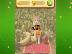 খেলা Farm Cat Memory Match