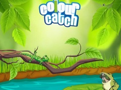 খেলা Colour Catch