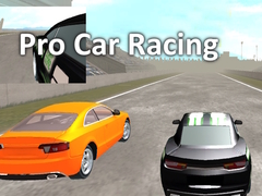খেলা Pro Car Racing