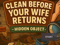 খেলা Clean Before Your Wife Returns Hidden Object