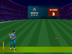খেলা Cricket Night 2