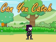 খেলা Can You Catch