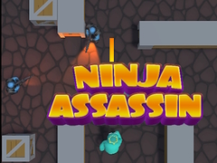 খেলা Ninja Assassin