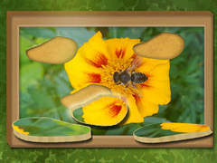 খেলা Find & Restore: Hidden Puzzle