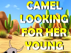 খেলা Camel Looking For Her Young