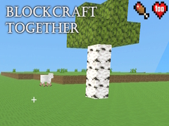 খেলা BlockCraft Together
