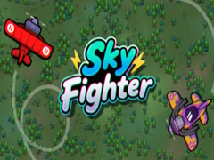 খেলা Sky Fighter