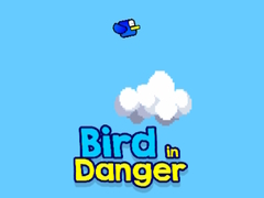 খেলা Bird in Danger