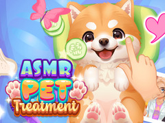 খেলা ASMR Pet Treatment