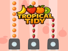 খেলা Tropical Tidy
