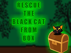 খেলা Rescue the Black Cat from Box
