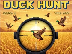খেলা Duck Hunt