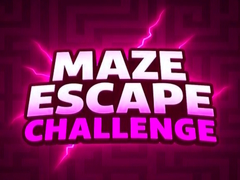 খেলা Maze Escape Challenge