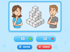 খেলা Try To Count The Boxes