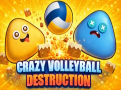 খেলা Crazy Volleyball Destruction