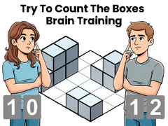 খেলা Try To Count The Boxes Brain Training
