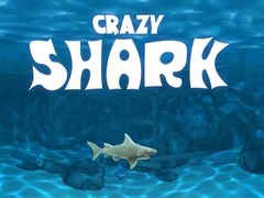খেলা Crazy Shark
