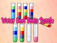 খেলা Water Sort Brain Puzzle