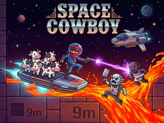 খেলা Space Cowboy
