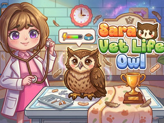 খেলা Sara Vet Life Ep14: Owl