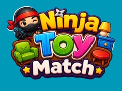খেলা Ninja Toy Match