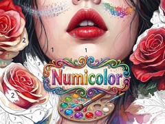 খেলা Numicolor