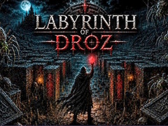 খেলা Labyrinth of Droz