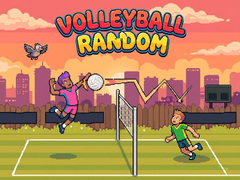 খেলা Volleyball Random