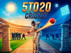 খেলা 5TO20 Cricket