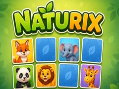 খেলা Naturix
