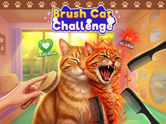 খেলা Brush Cat Challenge 