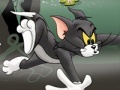 খেলা Tom And Jerry Chase In Marsh