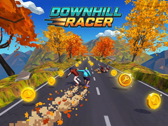খেলা Downhill Racer