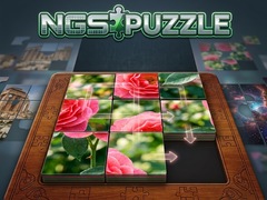 খেলা NGS Puzzle