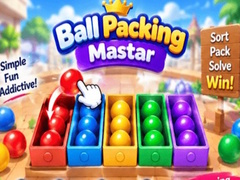 খেলা Packing Master Puzzle