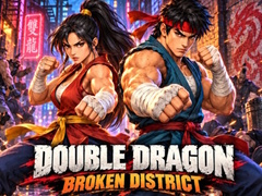 খেলা Double Dragon Broken District