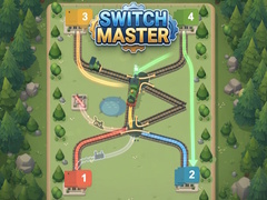 খেলা Switch Master