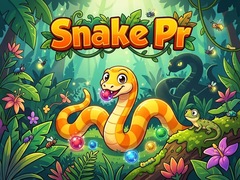 খেলা Snake Pr